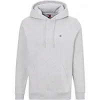 Tommy Jeans Dm0dm20742 Kapuzenpullover Silver Grey Heather S
