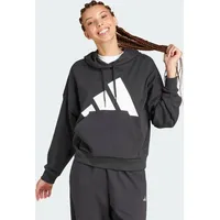 Adidas Essentials Big Logo French Terry Loose Hoodie Black