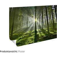 ARTland Artland, Bilder, Lost Places Verlassene Orte Treppenhaus U4YC