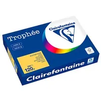 Clairefontaine Kopierpapier Trophée gold gelb DIN A4 120 g/qm