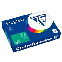 Clairefontaine Kopierpapier Trophée tannengrün DIN A4 160 g/qm 250