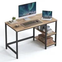 VASAGLE Computertisch Schreibtisch mit 2 Regale 120 x 75