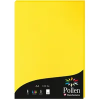 Pollen 10x Papier A4 Pollen 120g 50 Blatt -