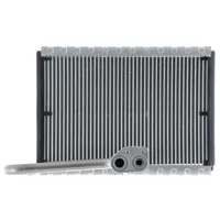 Mahle AE 169 000P