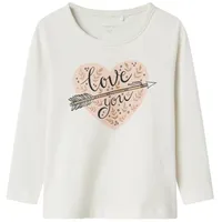 NAME IT Longsleeve mit Print Jet Stream-104 | 104