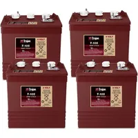 Trojan Ersatzakku für Niftylift Teleskoparbeitsbühne SP26 24V Akku -