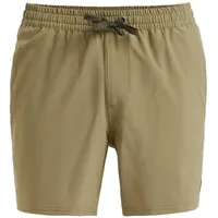 QUIKSILVER Surfsilk Solid 16" Beige Herren, beige XS