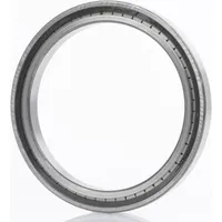 INA Zylinderrollenlager SL182934-B-XL-C3