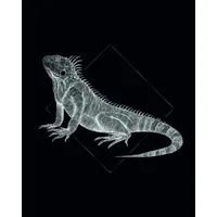 KOMAR Wandbild Iguana Black 40 x 50 cm