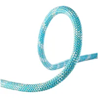 Edelrid Interstatic Protect 11 Mm Seil - Icemint -