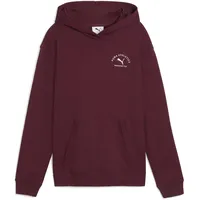 Puma Kapuzensweatshirt Ruby Shimmer 152