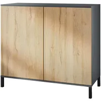 Vladon Kommode Skadu V3 (Moderner Küchenschrank, mit 2 großen