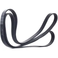 Continental CONTITECH 7PK2035 Keilrippenriemen