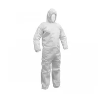Dedra Maleroverall Größe XL