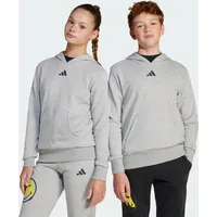 Adidas Smileyworld Kids Hoodie Medium Grey Heather / Bright
