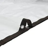 VidaXL Transparente Plane mit Ösen 5x12 m Polyethylen