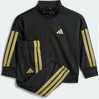 Adidas Essentials Climacool Trainingsanzug Black / Gold Met. 80