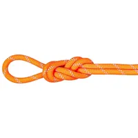 Mammut Alpine 9.5 Mm Seil - Vibrant Orange /