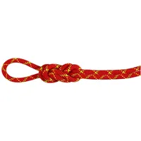 Mammut 8.0 Alpine Core Protect Dry Kletterseil (Größe 60M,