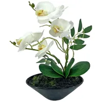 NTK-Collection NTK-Collection, Kunstblume Orchidee in Schale Leilani