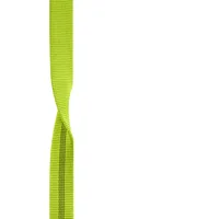 Edelrid X-tube 25 Mm Bandschlinge - Oasis - 100