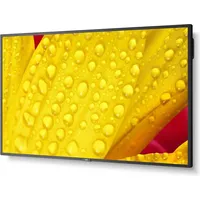 NEC MultiSync M501-2 Digital Signage, Display