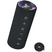 Tronsmart Mirtune C2 24W Bluetooth Portable Lautsprecher - Schwarz