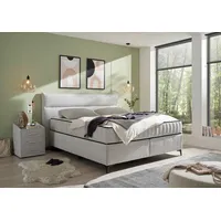Stella Trading VLIELAND Boxspringbett 180x200 in Dove - Bequemes