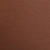 Clairefontaine Maya Fotokarton A1 270g 25 Bogen - Braun|