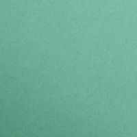 Clairefontaine Maya Fotokarton 50x70cm 270g 125 Bogen - Tannengrün