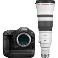 Canon EOS R3 + RF 600mm f4 L IS