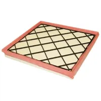 Ashika Luftfilter 20-0W-W11
