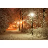 Papermoon Fototapete PAPERMOON "Park im Winter", bunt, B:3m L:2,23m,