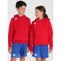 Arena Team Kapuzensweatshirt Junior Panel - Red - 164