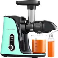 Amzchef GM3001-GN slow speed juicer (green),