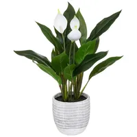 Atmosphera Créateur d'intérieur Atmosphera Créateur d'intérieur