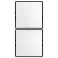 Busch-Jaeger Kombi Schalter/Schalter AP 2601/6/2601/6 APJ524