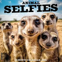 Willow Creek Press Animal Selfies 2025 12 X 12