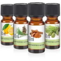 Höfer Chemie 4x 10 ml 4 x SPA Duftöl-Set