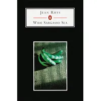 Penguin Books UK Wide Sargasso Sea