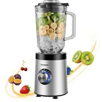 Steinborg SB-7020 Standmixer