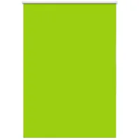VidaXL Verdunkelungsrollo Grün 110x175cm Stoffbreite 105,7cm Polyester
