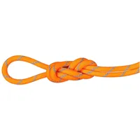 Mammut Alpine Sender Dry Kletterseil (Größe 40M, Orange