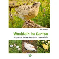 Pala- Verlag GmbH Wachteln im Garten