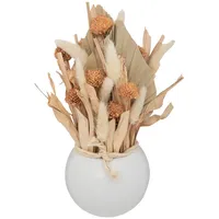 Atmosphera Créateur d'intérieur Trockenblumen in beige | Gr.: onesize