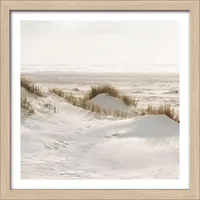 Pro Art Gerahmtes Bild DRIED FIBER IV (BHT 28x28x1.80