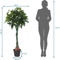 HJH Office Kunstpflanze PACHIRA 160 cm)