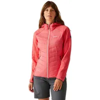 Regatta Softshelljacke Andreson VIII Hybrid in Peach Bloom |