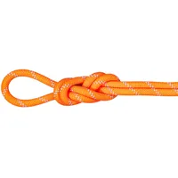 Mammut 9.5 Alpine Dry Kletterseil (Größe 50M, Orange