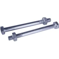 Tetzner & Jentzsch T & J Durchgangsschraube Edelstahl 10